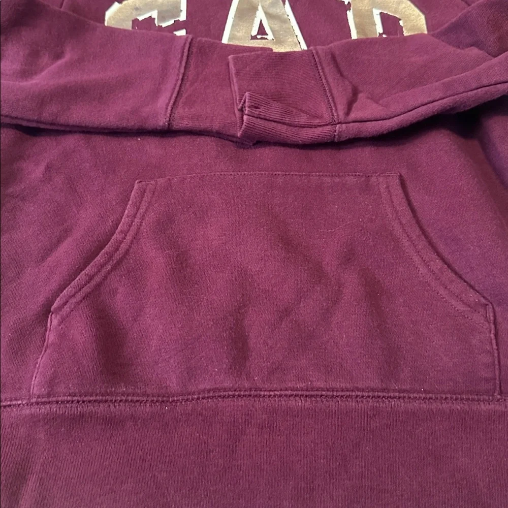 GAP Kids Burgundy Hoodie